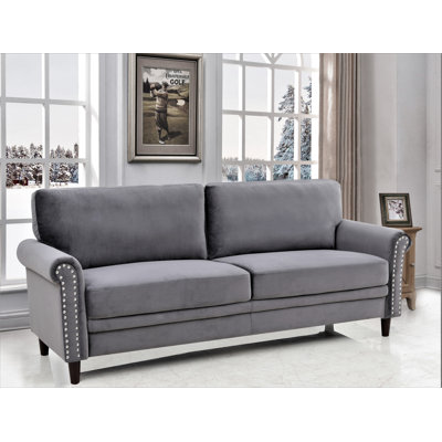 Reedsburg 79.5'' Velvet Sofa