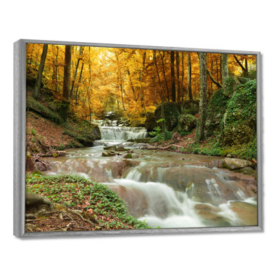 Forêt, cascade, arbres jaunes - reproduction de photo