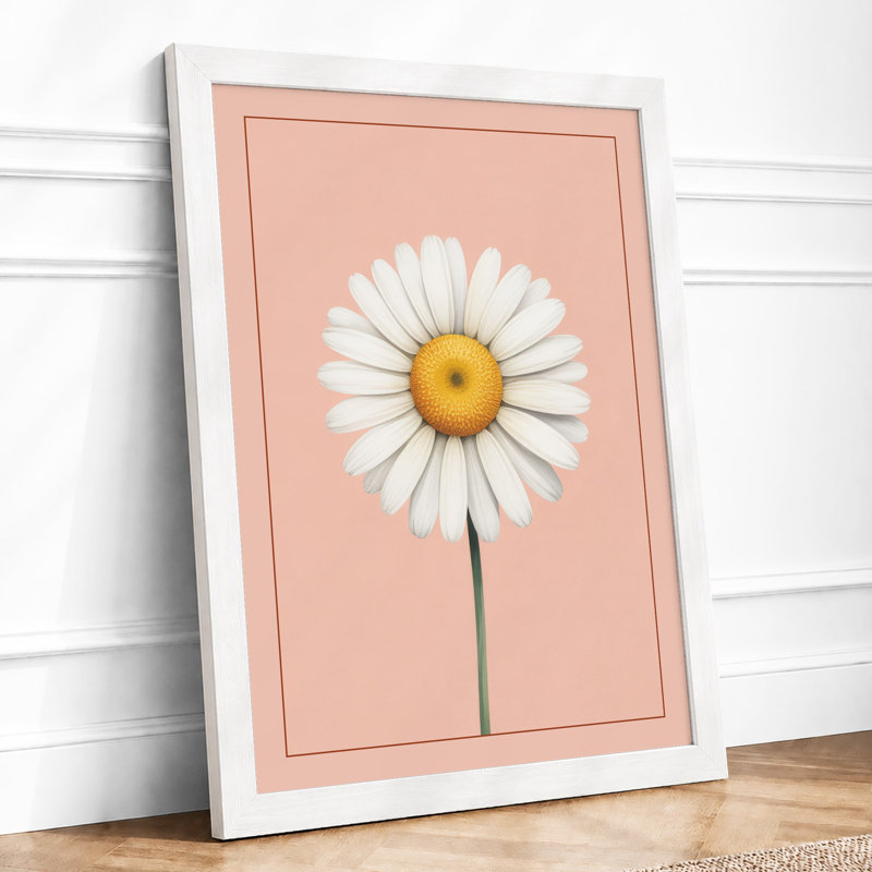 Daisy Study Botanical Framed Art Print, A2 - 59.4 x 42.0 cm, White
