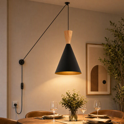 Luminaires suspendus modernes à brancher