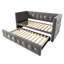 Bencar Upholstered Velvet Daybed with Trundle Bed-798263189