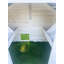 Modern Modern Nesting - Poulailler