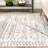 Reanna Light Gray Area Rug-1636369674