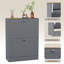 2 Drawer Shoe Cabinet with Top Modern Shoe Storage For Hallway Living Room & Bedroom-85515783