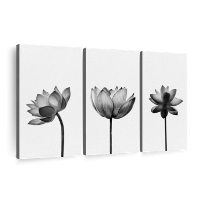 Black And White Botanical Multi Piece Canvas Print