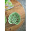 Assiette décorative à feuilles