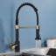 Belfry Kitchen Hockensmith Pull Out Kitchen Faucet