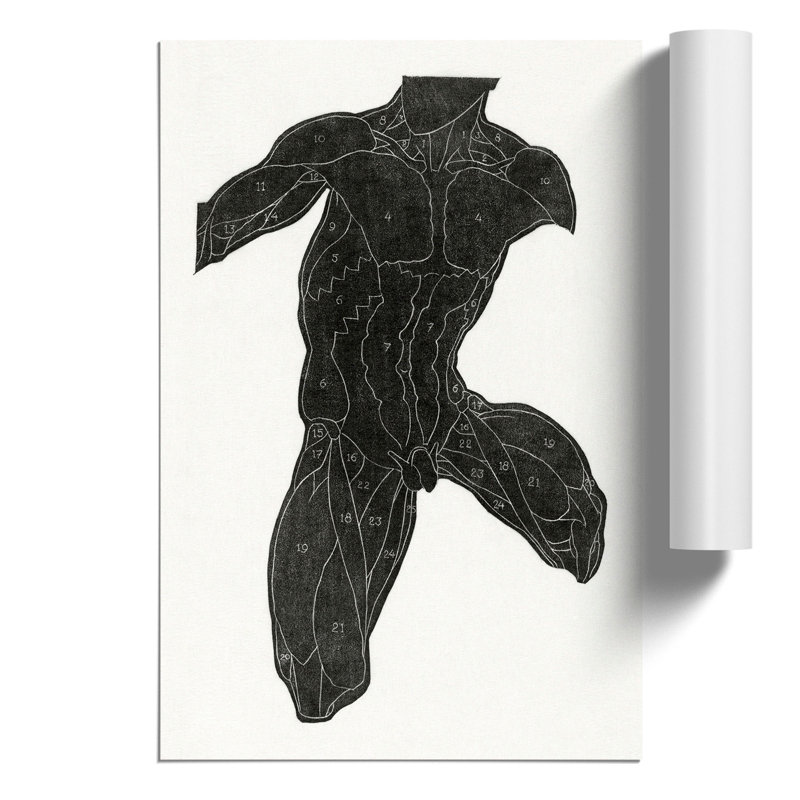 Anatomical Study Of A Man Vol.14 by Reijer Stolk - No Frame Painting, 42cm H x 30cm W x 0.1cm D