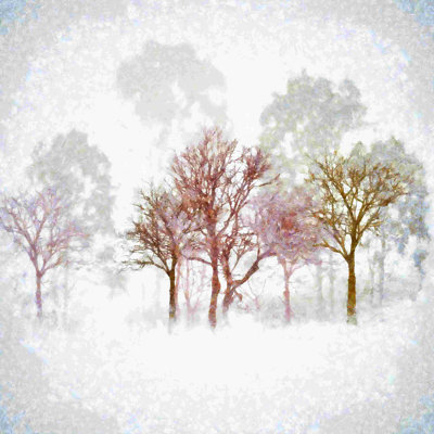 " Winter Trees 2 "
