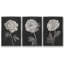 Fleurs noires et blanches I 3 pièces-97758183-97758188