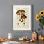 Champignon Variétés VI encadré mat - prêt à accrocher-868071624-868071630
