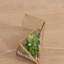 Plante grasse artificielle 3 po en terrarium
