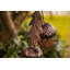 Jody Metal Hanging Decorative Bird Feeder