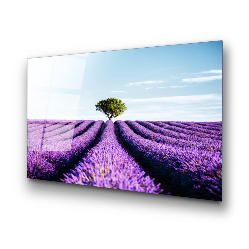 Boze Wall Decor