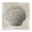 Art mural sur toile Clam-403265696