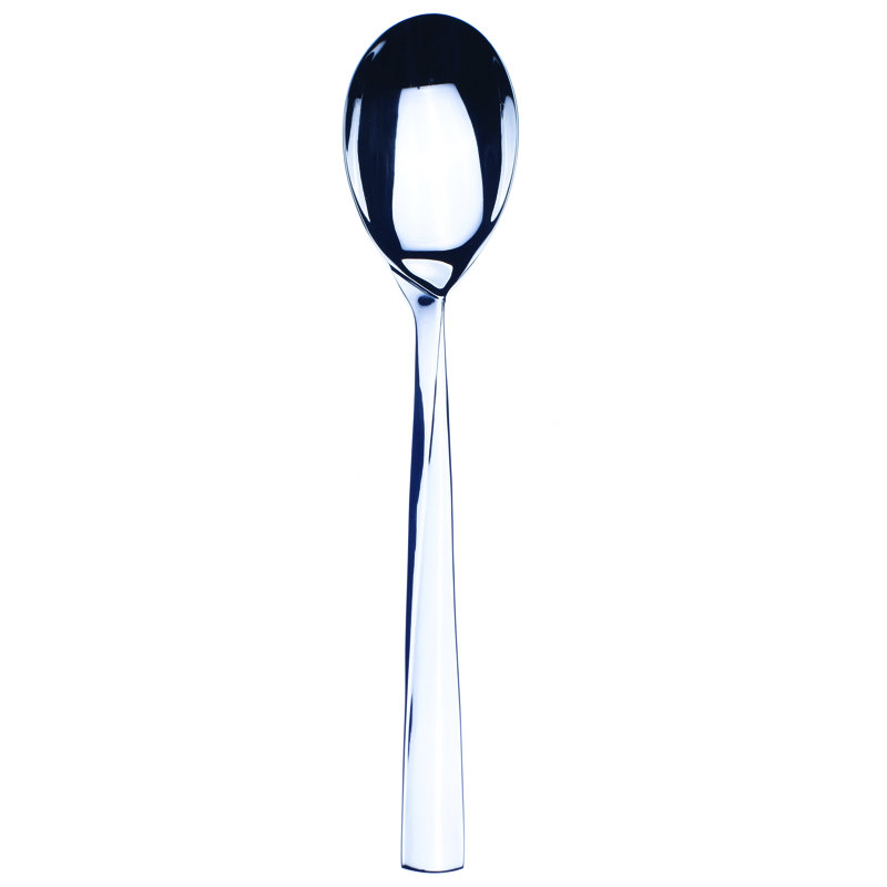 Elica Stainless Steel Serving Spoon