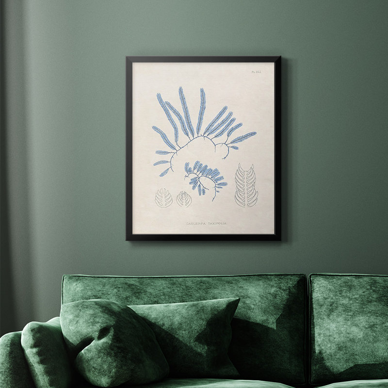 «Blue Marine Algae II», toile encadrée de qualité supérieure - prête à être accrochée, Noir, H 20 po x l 16 po