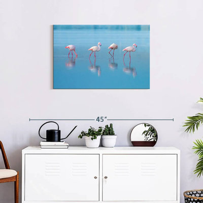 Flamants roses du lac bleu Brampt