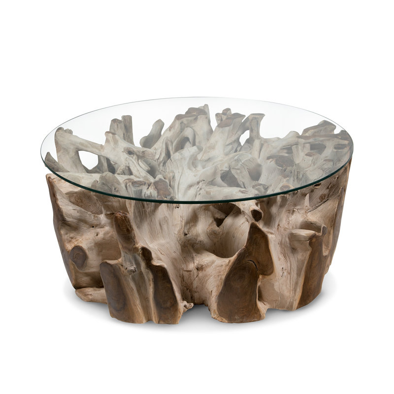 Bleach Glass Top Single Coffee Table