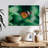 Brampt Orange Butterfly-108712773