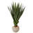 Spiked Agave Artificial Plant in Bowl Planter