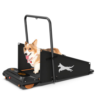 Orren Ellis Dog Treadmill Small Dogs, Dog Pacer Treadmill For Healthy & Fit Pets