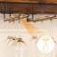 Open Shelving Wine Bottle Rack Brown