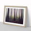 A Mysterious Summer Forest - Framed Print-1983029197-1983029196
