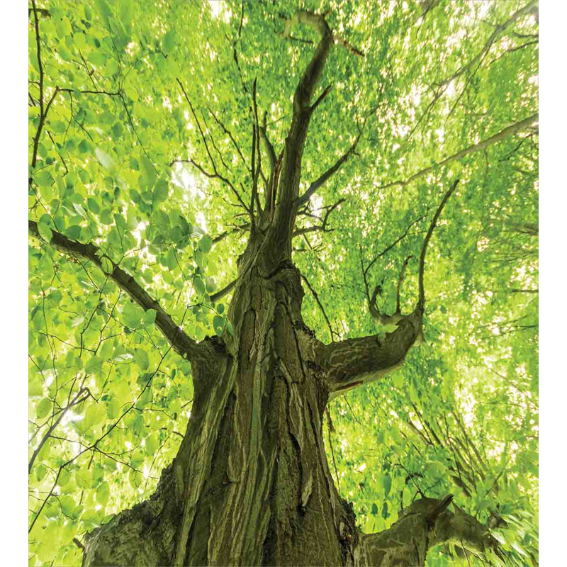 Ensemble de housse de couette forest