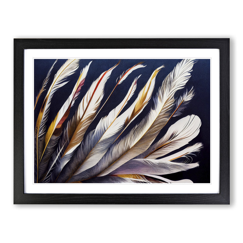 Euphoric Bird Feathers - Framed Print, Black, 34cm H x 46cm W x 2cm D