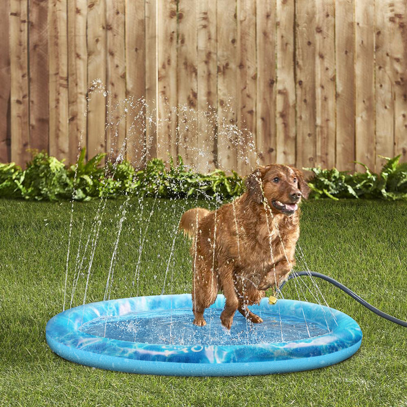 Ferit PVC Dog Pool 0.04'' H x W x L, 0.04" H x 39" W x 39" D