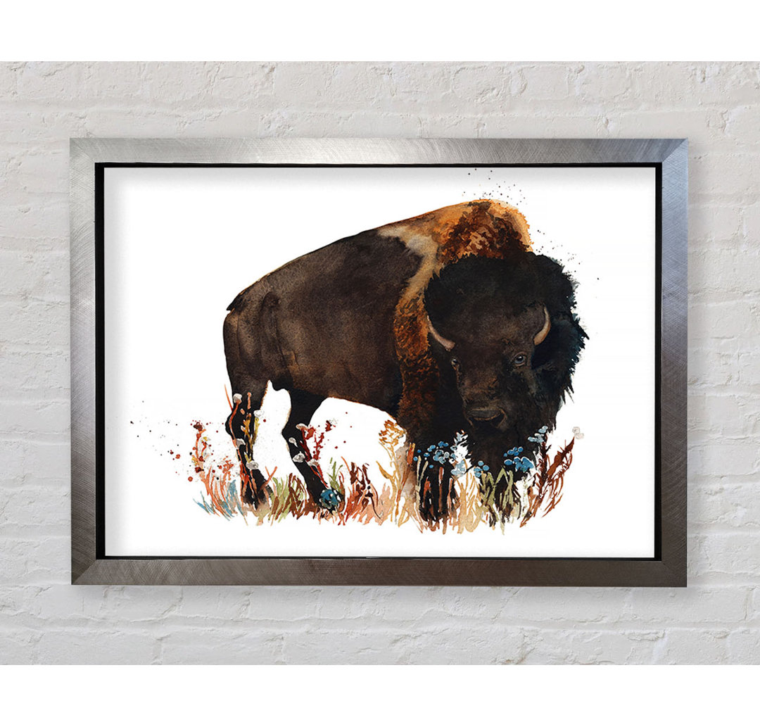 Bison Liebe - Druck