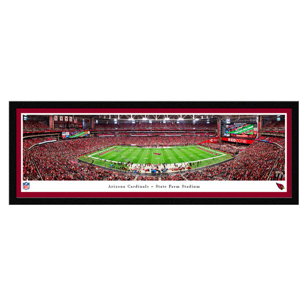 Arizona Cardinals State Farm Stadium NFL Football 8 x 10 Framed and  Matted Photo