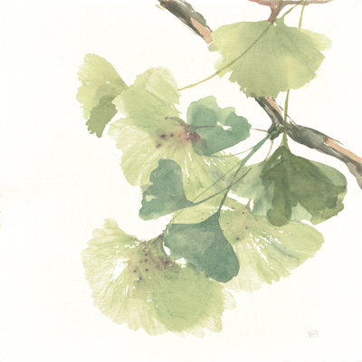 " Gingko Leaves II On White " by Chris Paschke Painting Print