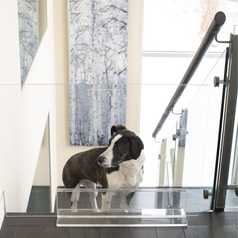 Low Clear Pet Gate Panel, 30" H x 32" W