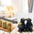 Resin Rustic Napkin Holder Kissing Bear Design