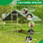 63 Square Feet Chicken Coop with Chicken Run
