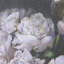 Nature morte «I» par Natali a, reproduction d'art encadrée texturée à la main