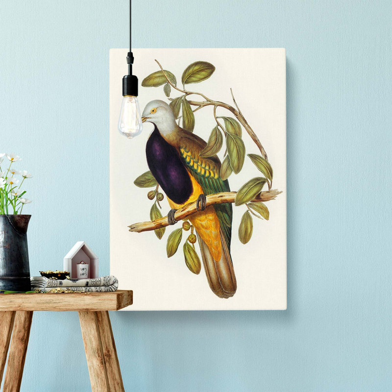 Magnificent Fruit Pigeons by Elizabeth Gould - Wrapped Canvas Art - Wrapped Canvas, 76cm H x 50cm W x 3cm D