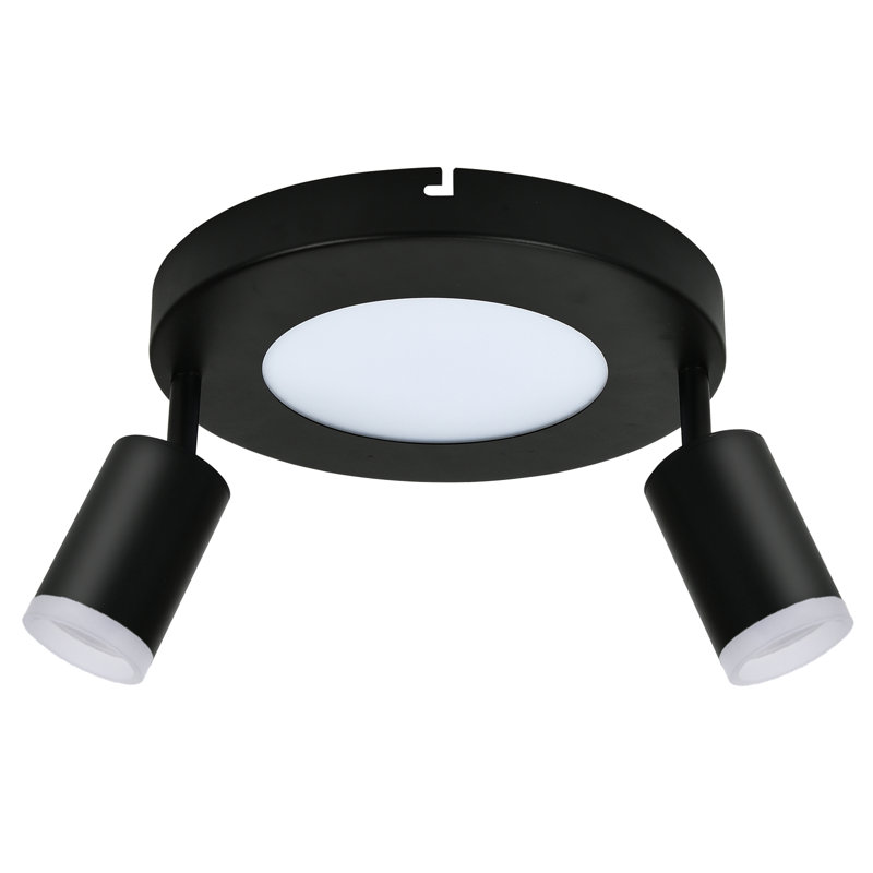 Shareese Spotlight, Matt/Black