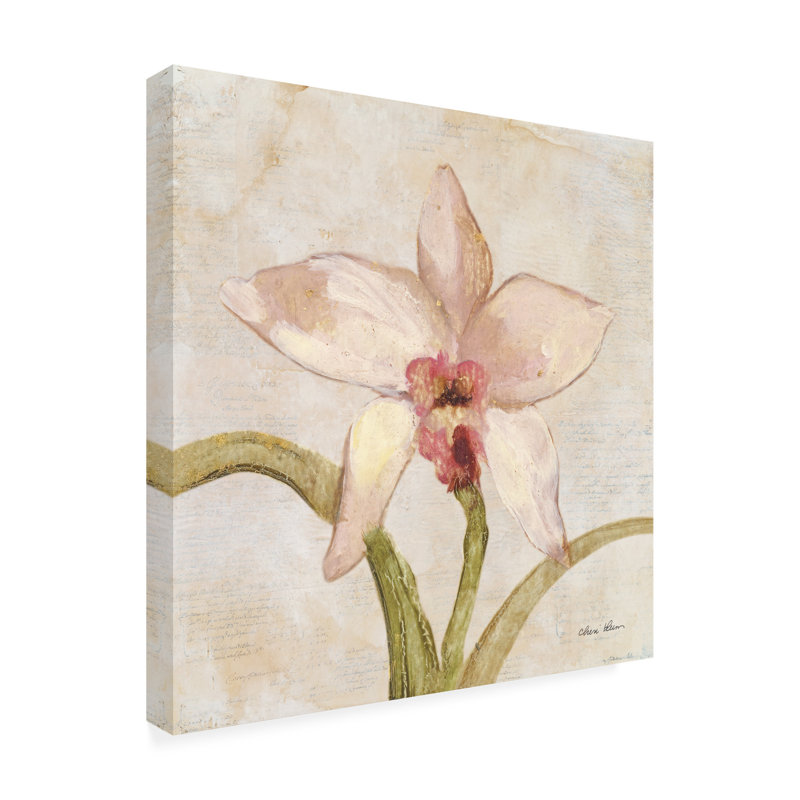 Art mural sur toile «Trademark Fine Art Cheri Blum Orchid I», H 14 po x l 14 po