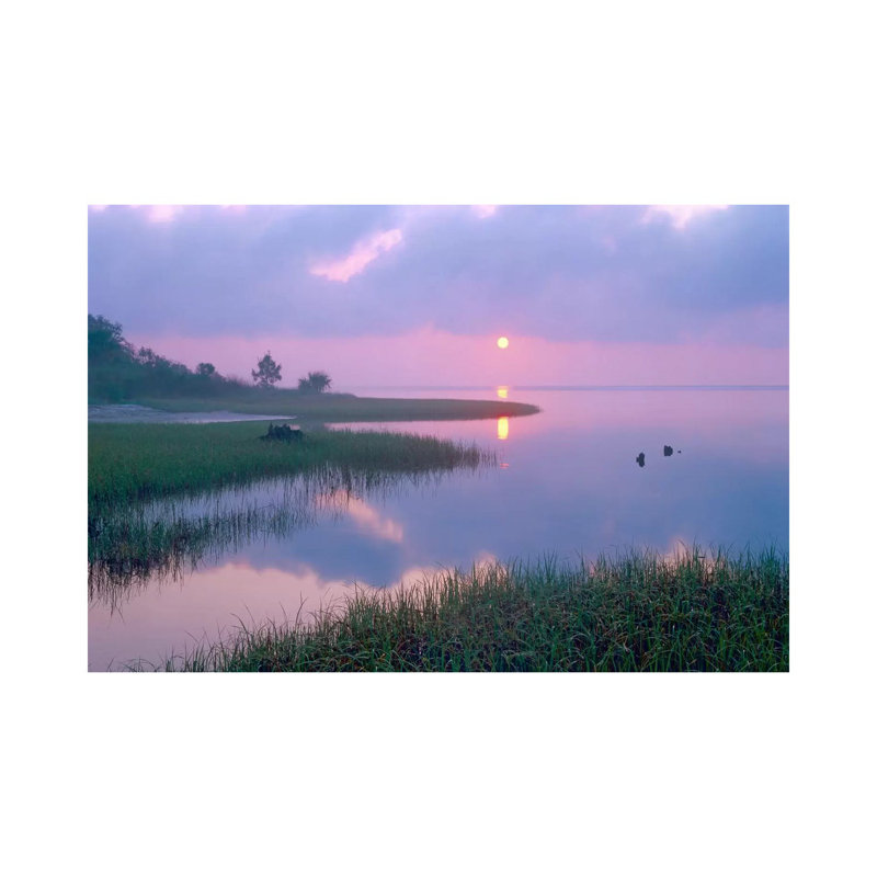 Marsh At Sunrise Over Eagle Bay, St Joseph Peninsula, Florida by Tim Fitzharris - Wrapped Canvas Print