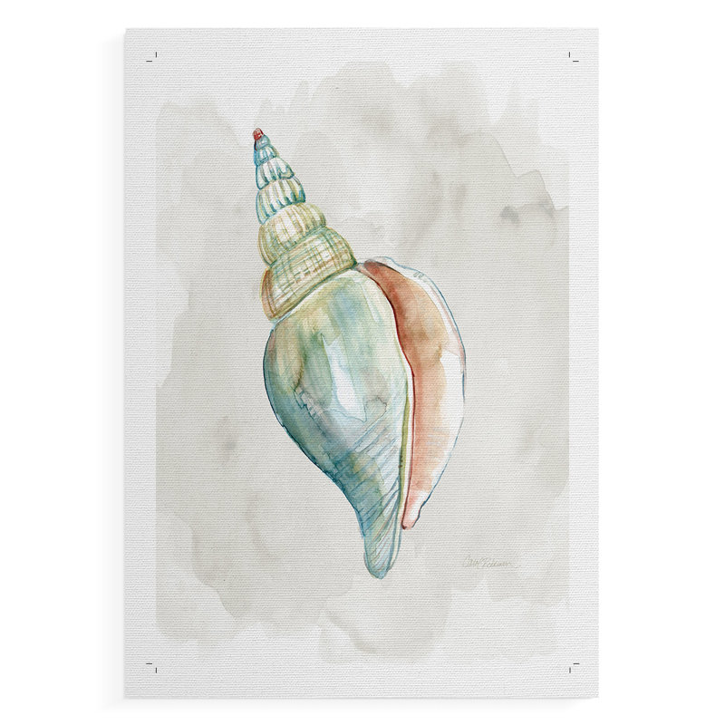 Pastel Shell II - Impression sur toile seulement - NON CADRE, H 48 po x l 32 po