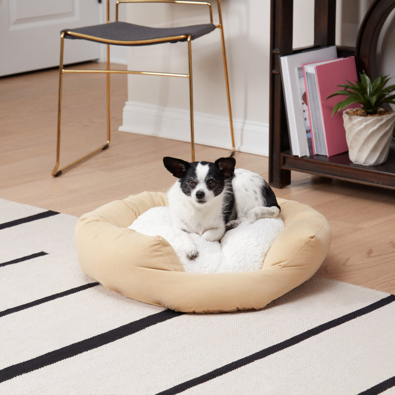 Lit pour chien Chamari Donut, Crème au beurre, Petit (l 24 po x P 24 po x H 8 po)