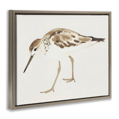 Cadre flottant Sandpiper Shore Bird