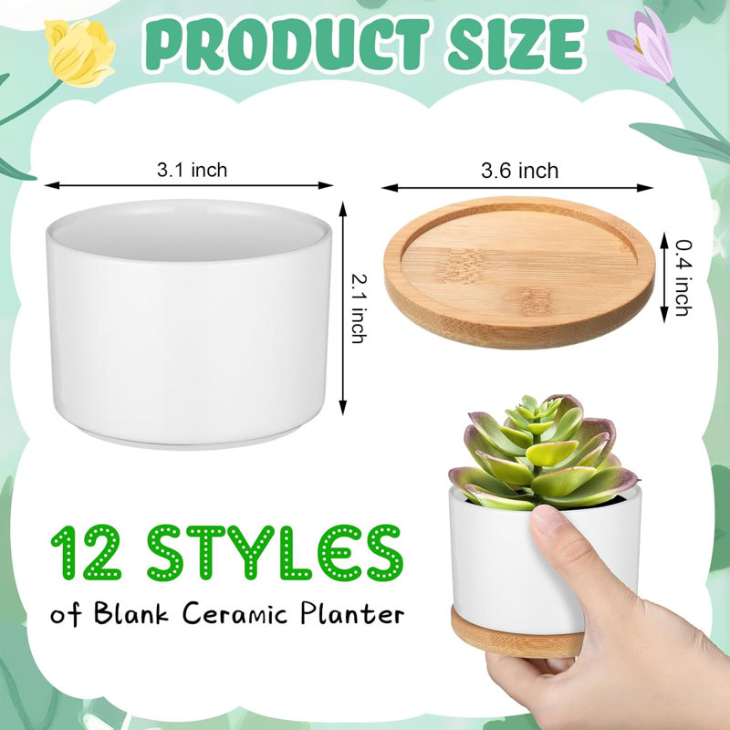 12 ensembles de casseroles succulentes en céramique