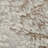 Abstract Machine Woven Rectangle 6' x 9' Polypropylene Area Rug in Ivory/Cream