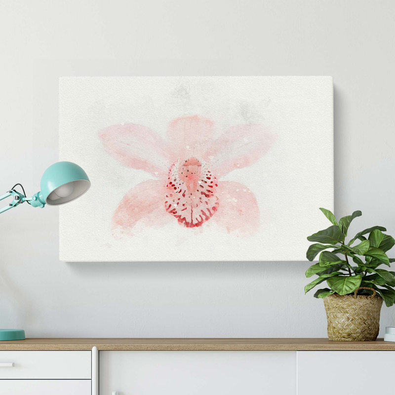 Light Pink Boat Orchid In Abstract - Wrapped Canvas, 50cm H x 76cm W x 3cm D