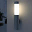 Integrated LED Outdoor Armed Sconce