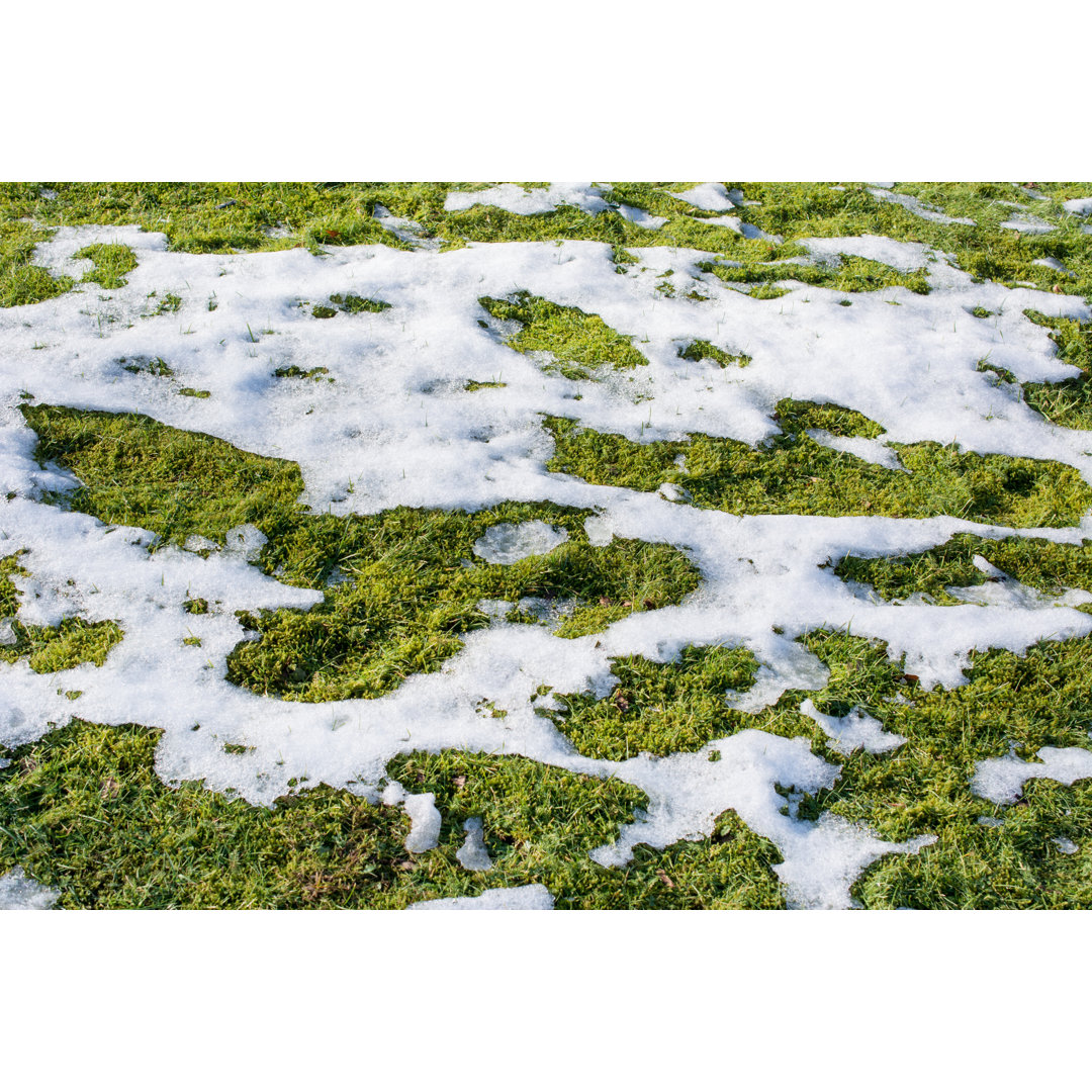 Schmelzender Schnee im Gras von Beeldbewerking - Drucken